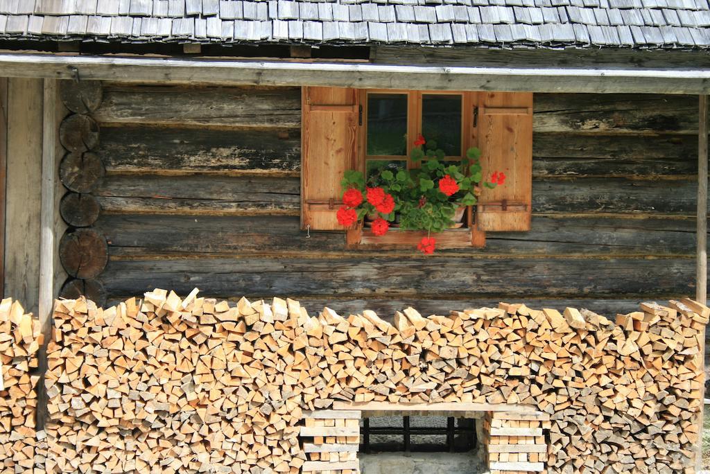 Haus Hepi Obertraun Exterior foto