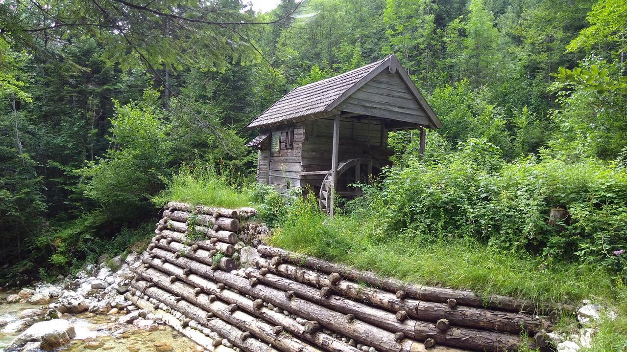 Haus Hepi Obertraun Exterior foto